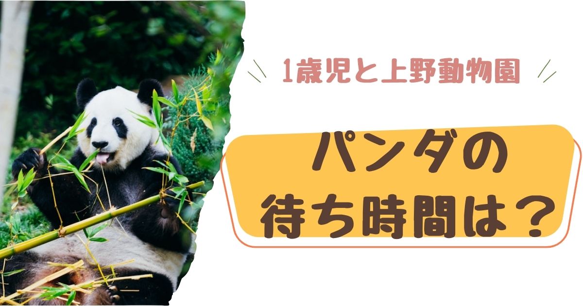 上野動物園に1歳児とお出かけ！パンダの待ち時間は？おすすめなまわり方も紹介