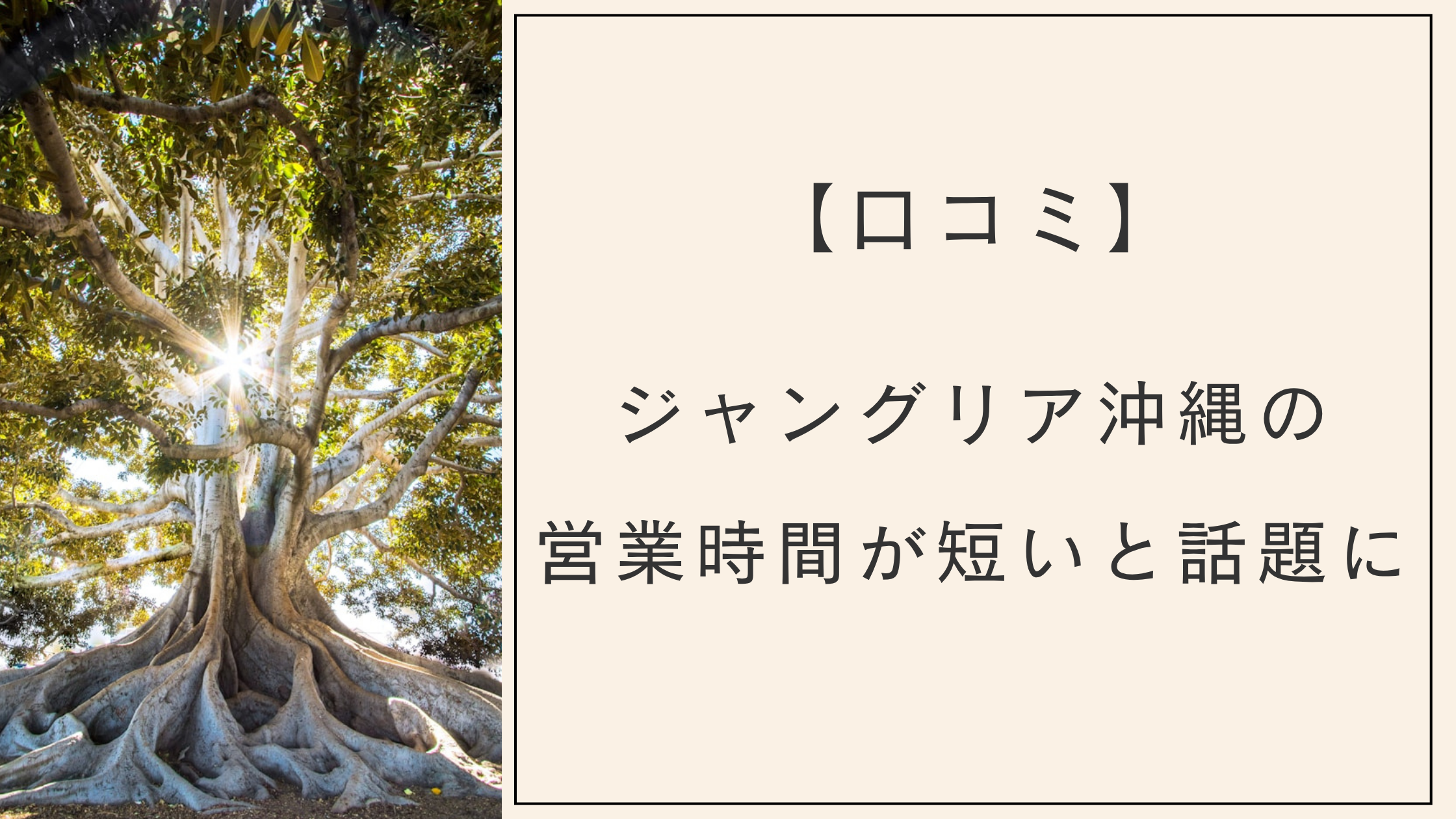 【口コミ】ジャングリア沖縄の営業時間が短いと話題！花火は見れるのか？　