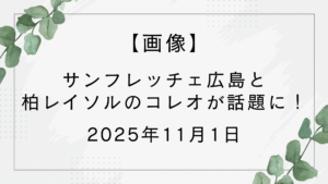 【画像】サンフレッチェ広島と柏レイソルのコレオが綺麗と話題に！【2025年11月1日】