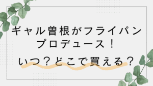 ギャル曽根プロデュースのフライパンはいつから販売？どこで買える？