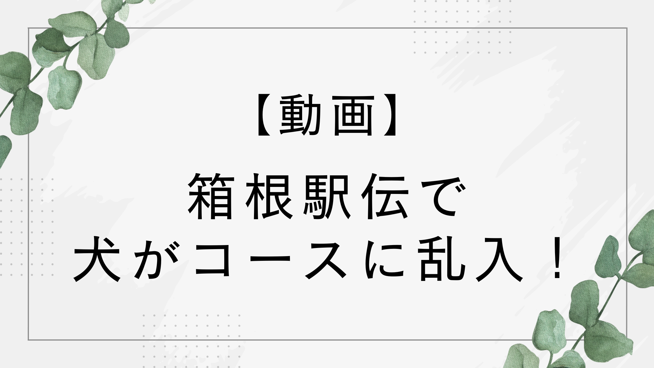 【動画】箱根駅伝2026で犬と並走？犬が飛び出しコースに乱入！
