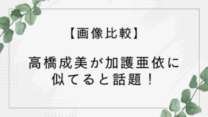 【画像比較】高橋成美が加護亜依に似てる！秋元真夏や寺田心にもそっくりと話題に