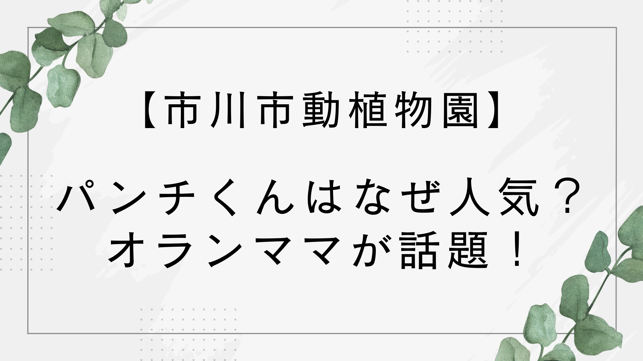 パンチくんはなぜ人気？理由は？IKEAぬいぐるみのオランママが話題【市川動物園】