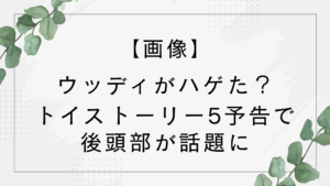 【画像】ウッディがハゲた？トイストーリー5予告でウッディの後頭部が話題に